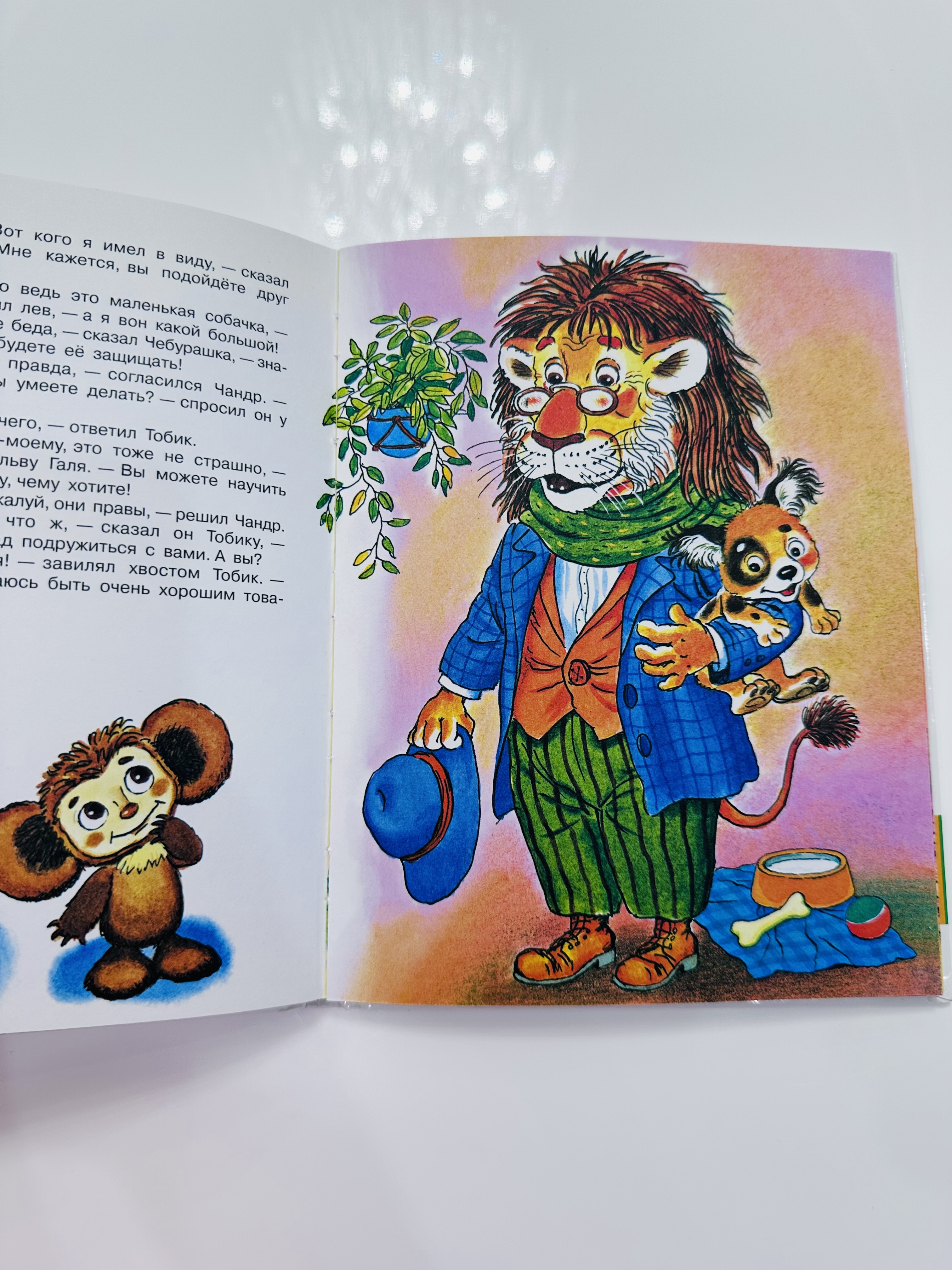 Э. Успенский Чебурашка