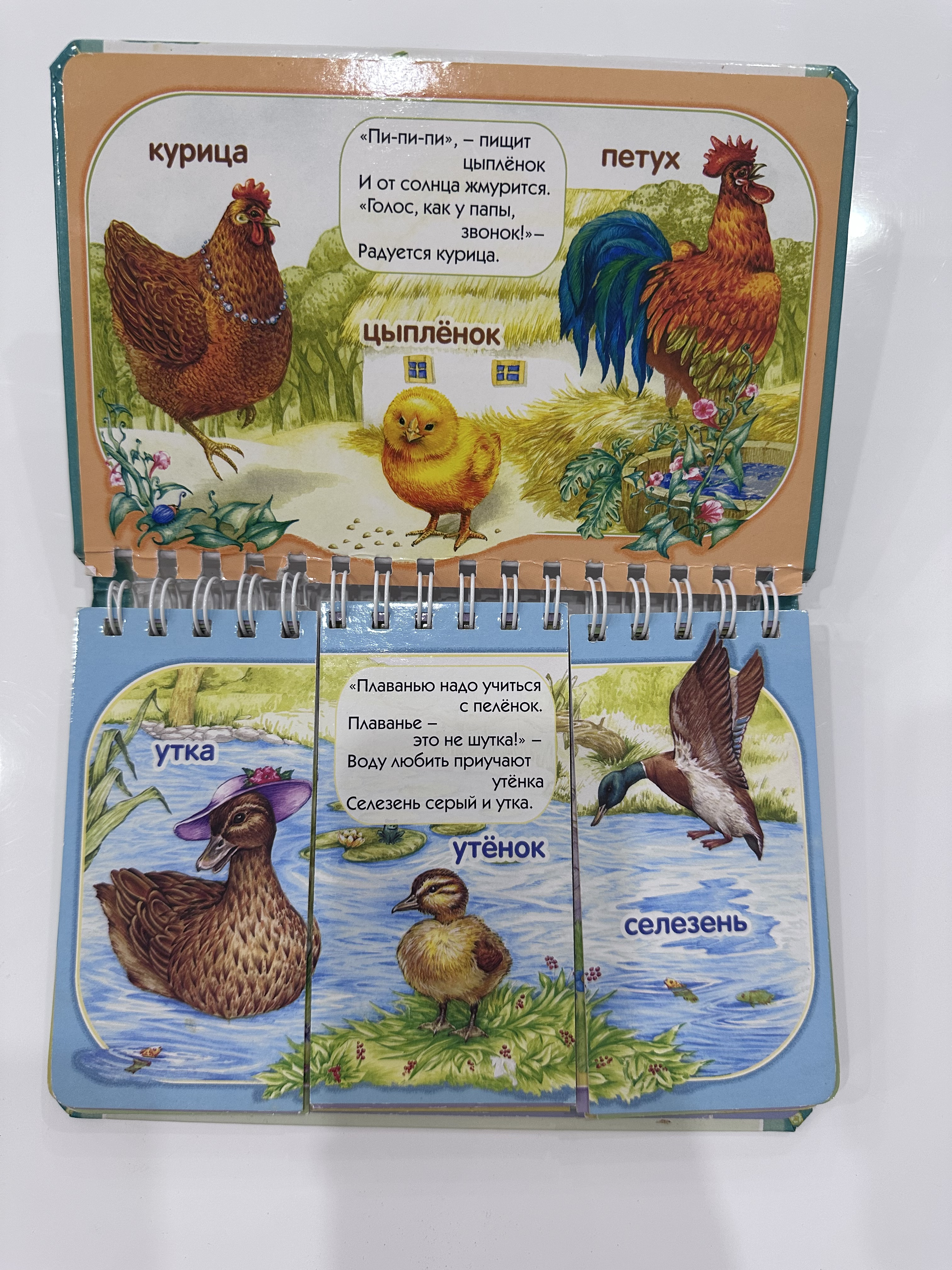 Книга мама, папа, я