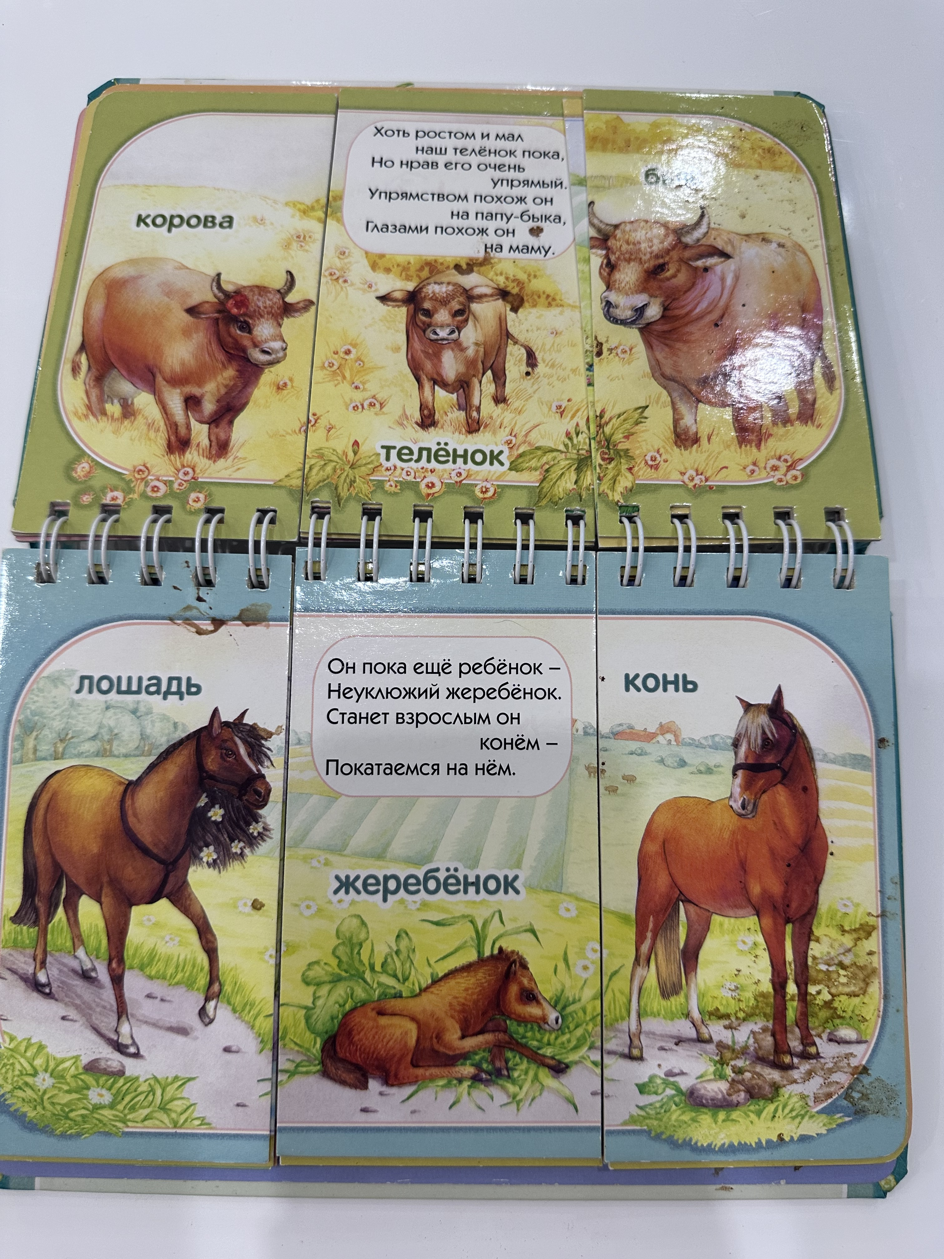 Книга мама, папа, я