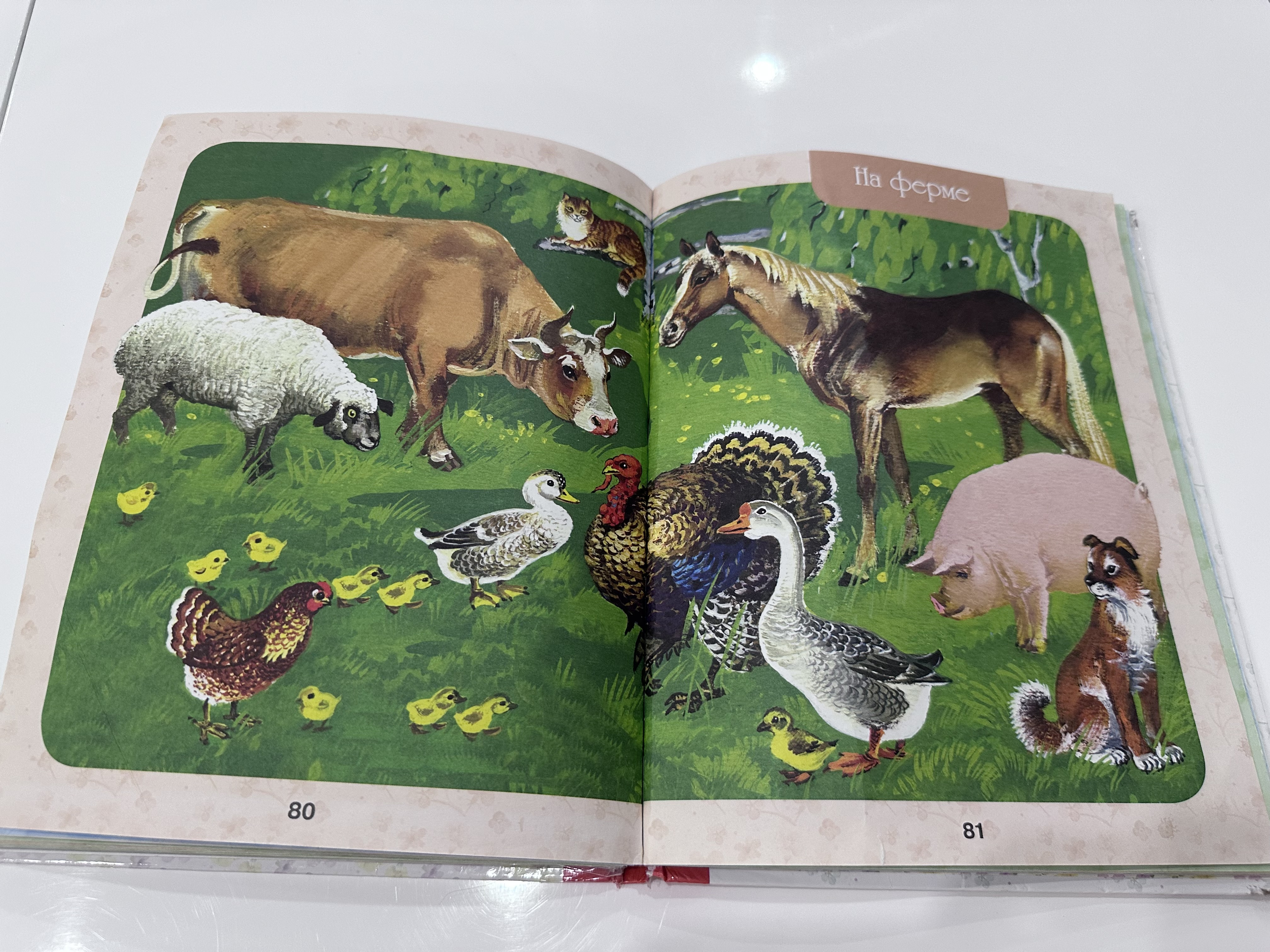 Первая книга малыша