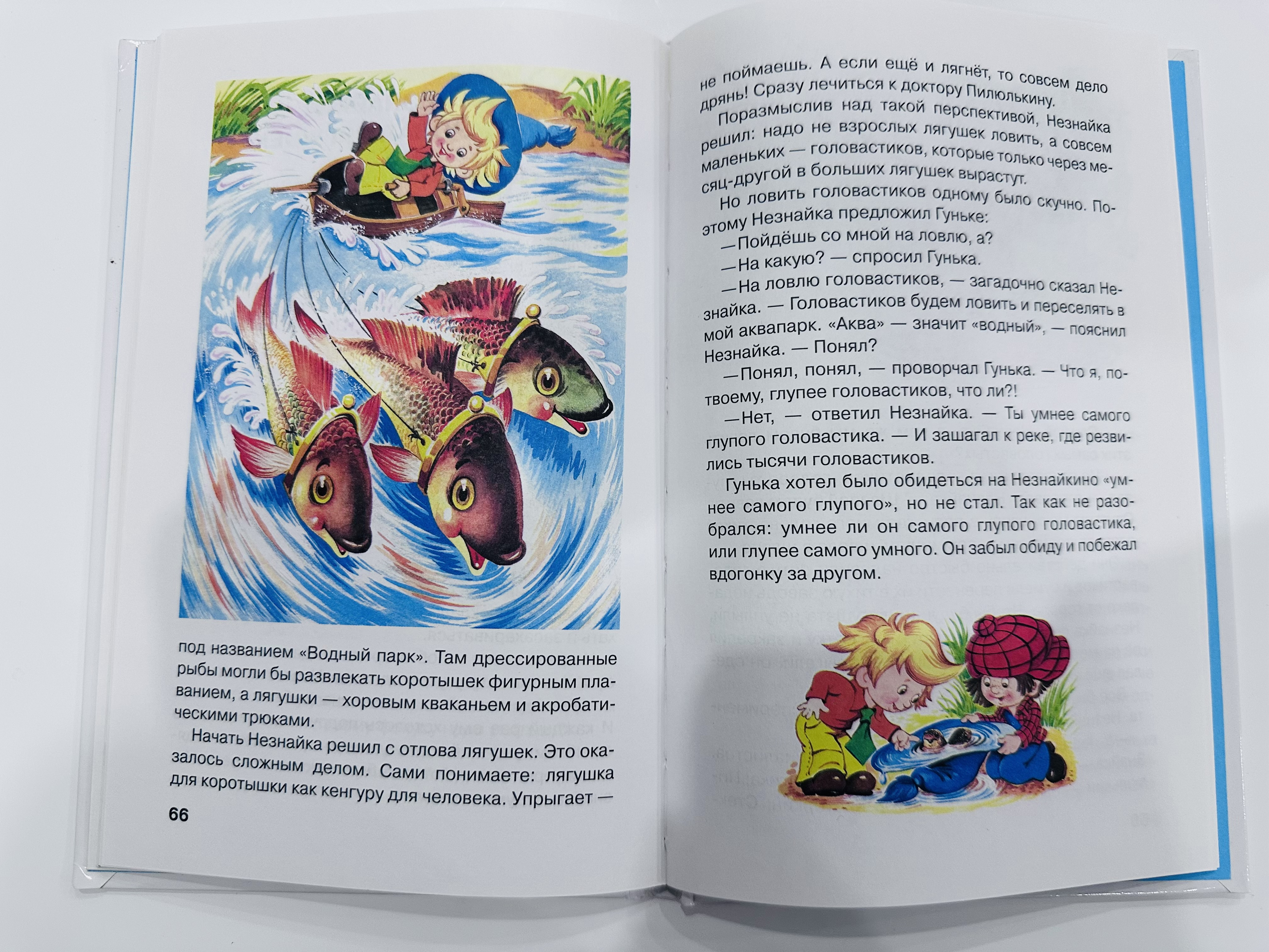Книга Остров Незнайки