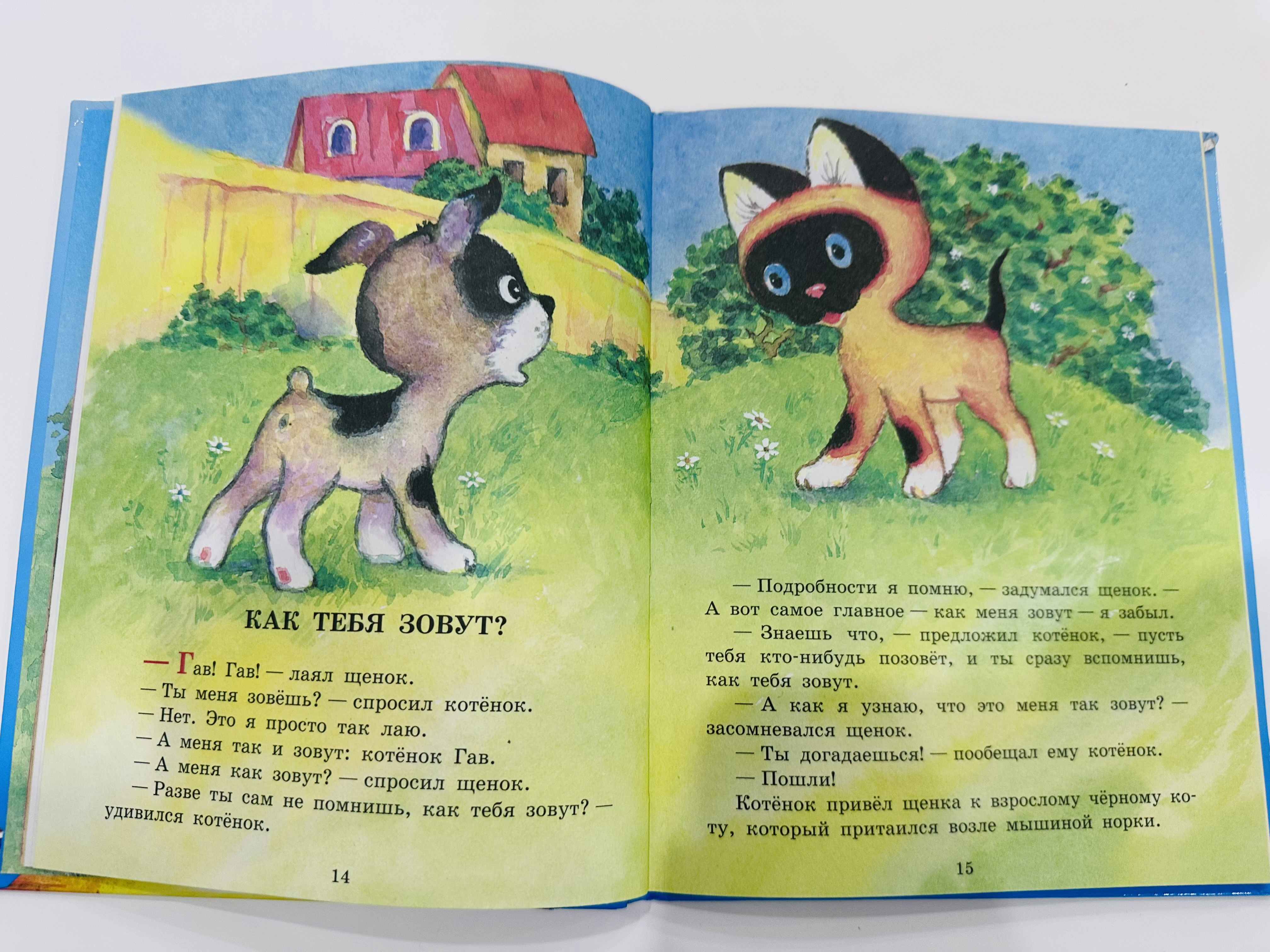 Книга Котенок по имени Гав