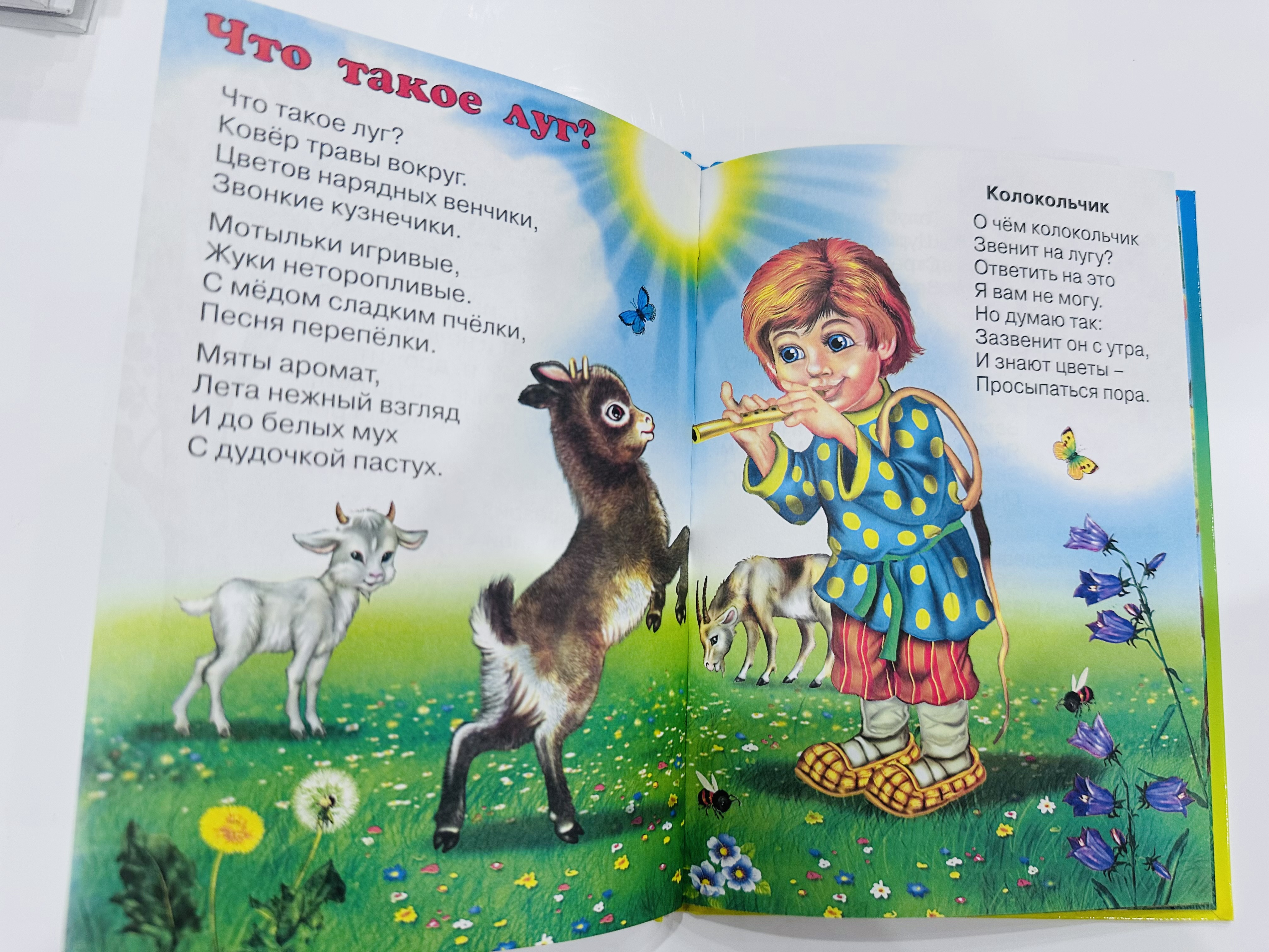 Книга Учебник для малышей