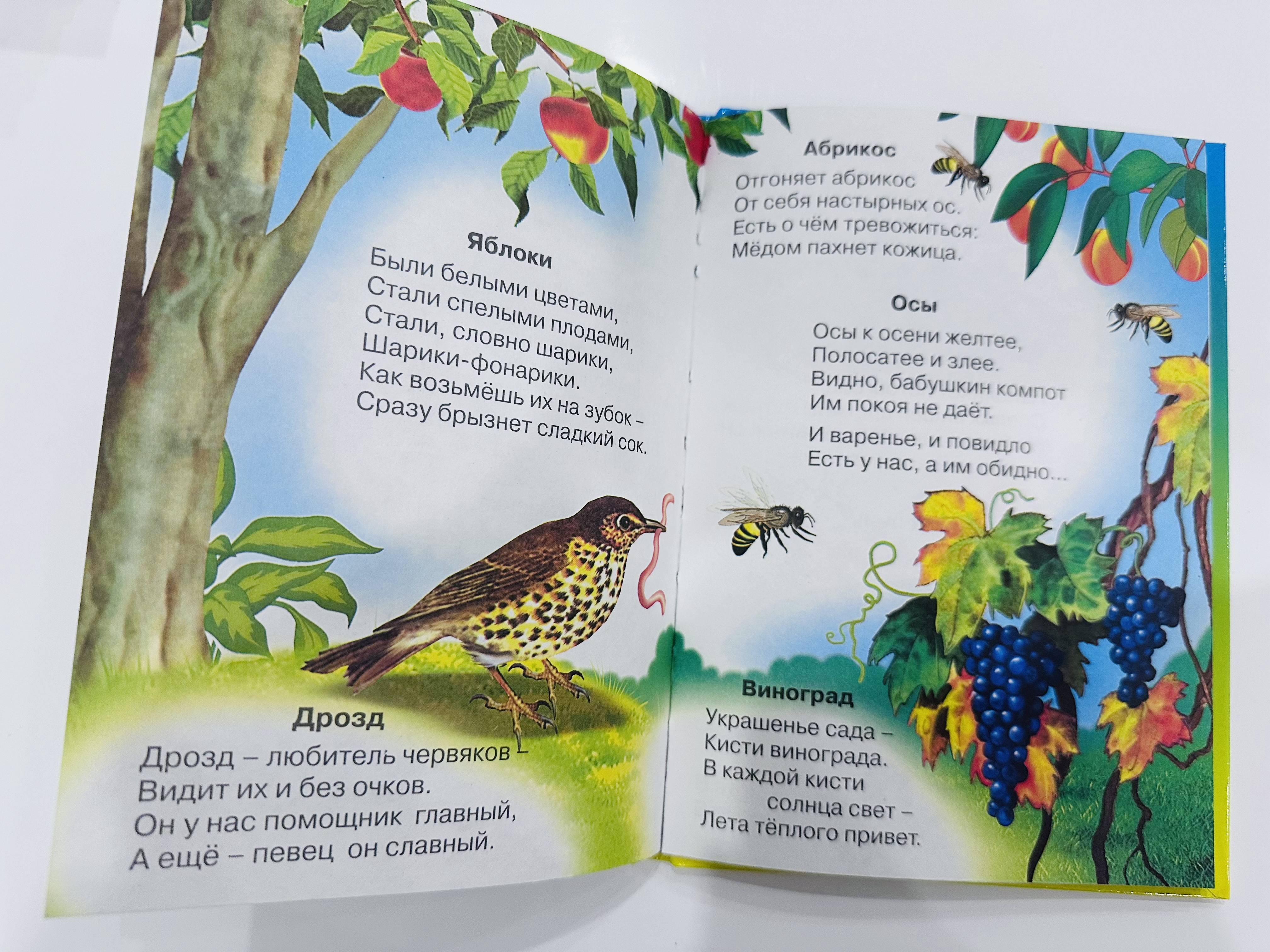 Книга Учебник для малышей