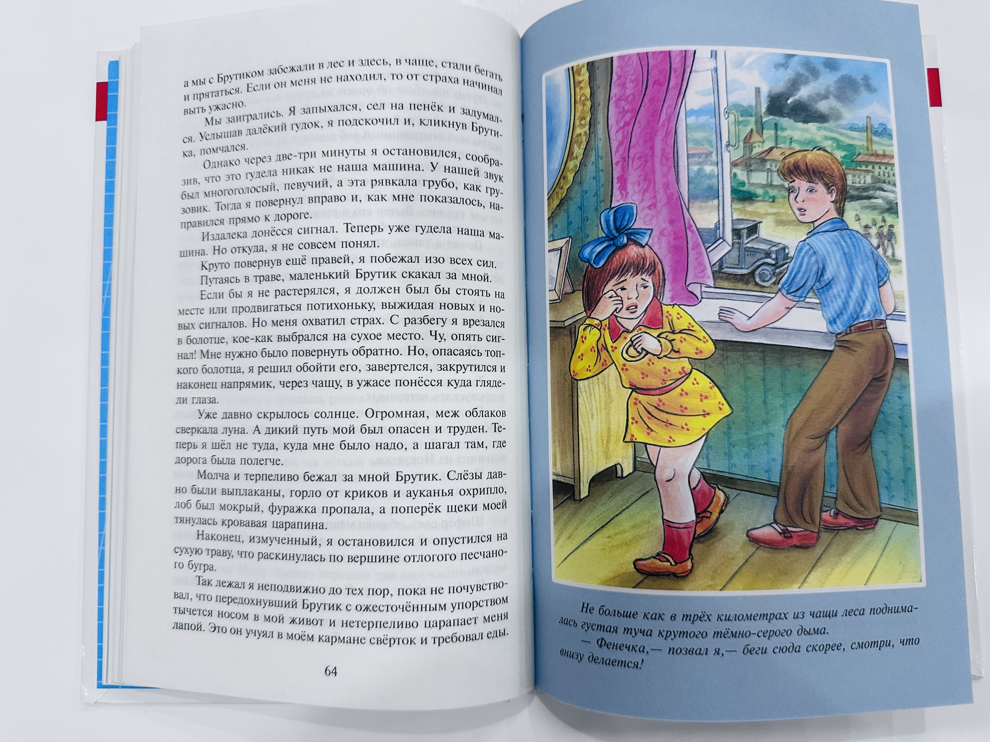 Книга. Тимур и его команда