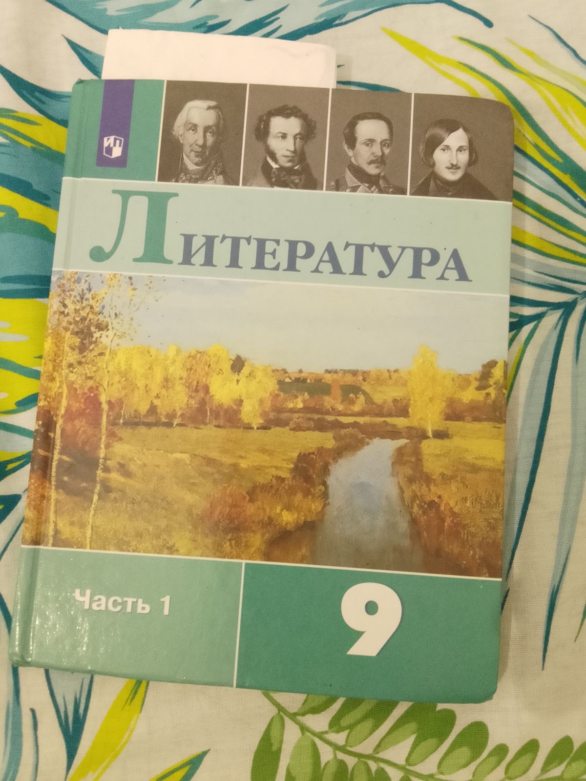 Репетитор по литературе