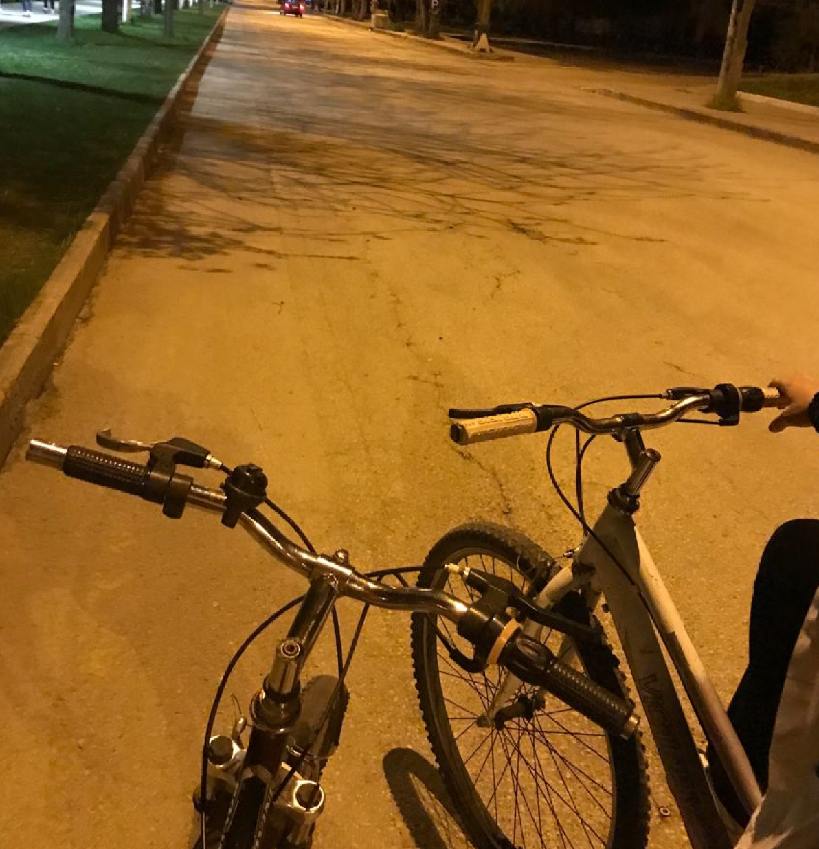 Прокат велосипедов